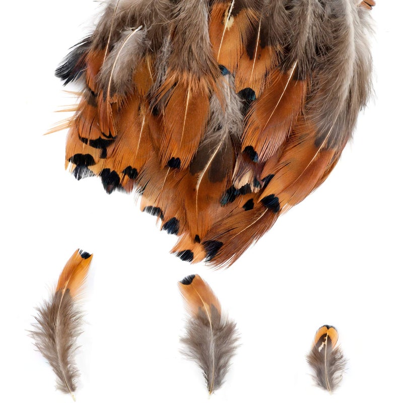 MWOOT 300PCS Spotted Chicken Feathers Natural Pheasant Plumage Feathers for DIY Crafts, Clothing, Jewelry, Wedding, Birthday Party, Dream Catcher Decoration - Image 4